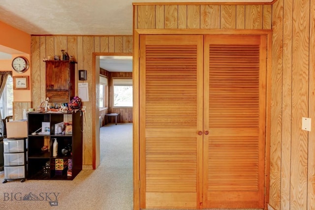 185 Elk Creek Rd N, Wilsall, MT 59086 - corridor featuring wooden walls and carpet