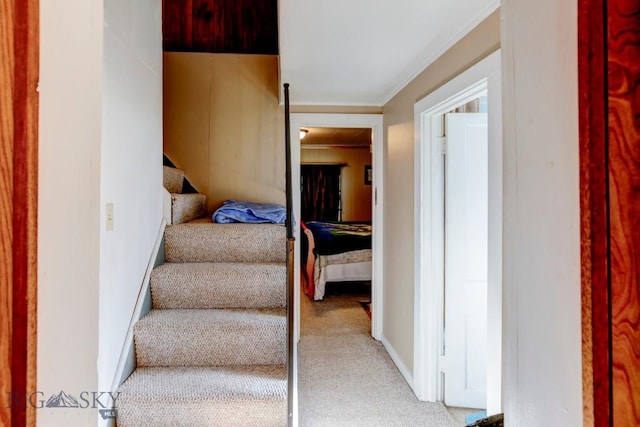 185 Elk Creek Rd N, Wilsall, MT 59086 - stairs featuring carpet, ornamental molding, and baseboards