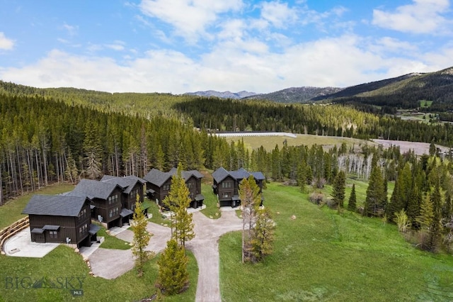 aerial overview of property's location with a forest and a mountain backdrop