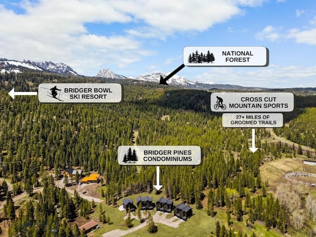 aerial map of property and surrounding area