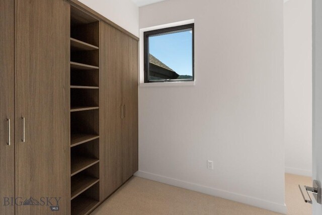 view of closet