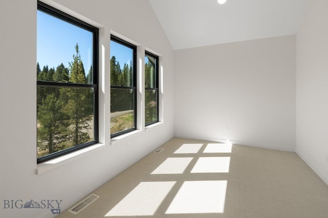 carpeted empty room featuring plenty of natural light and lofted ceiling