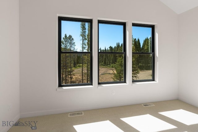 spare room featuring lofted ceiling and carpet flooring