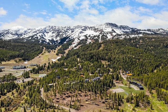 mountain view featuring a heavily wooded area