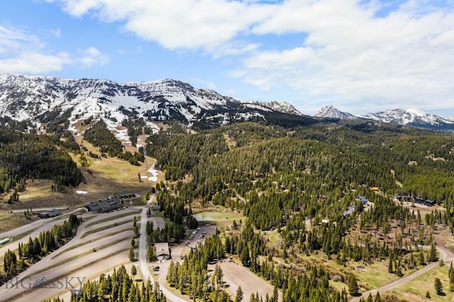 mountain view with a forest
