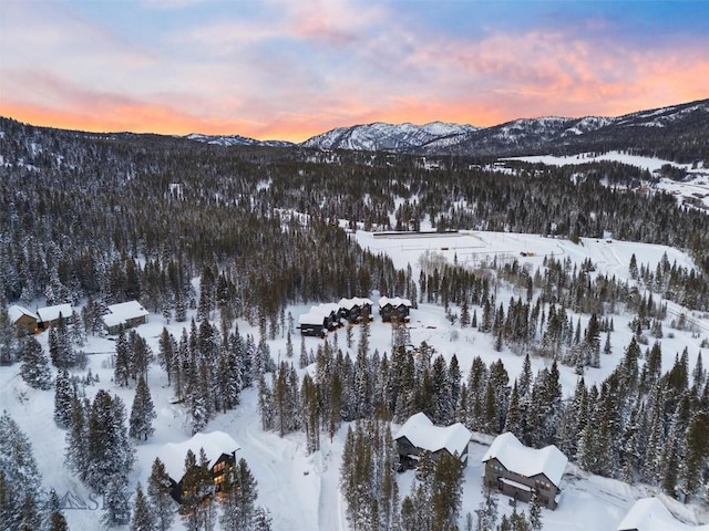 snowy aerial view with a mountain view and a wooded view