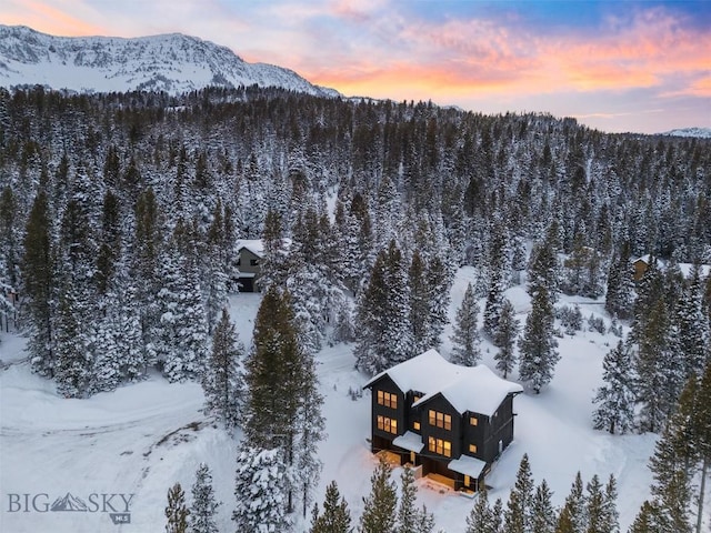snowy aerial view with a view of trees and a mountain view