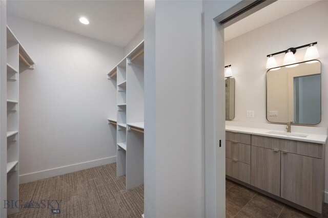 3030 Autumn Grove St Unit C, Bozeman, MT 59718 - walk in closet featuring a sink and dark carpet