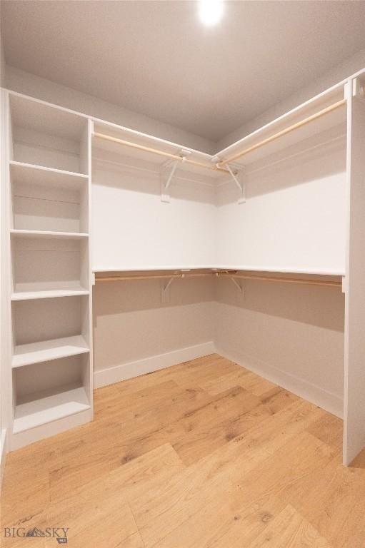 spacious closet featuring wood finished floors