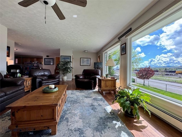 205 E Chinook St, Livingston, MT 59047 - living room with wood finished floors, a ceiling fan, baseboard heating, and a textured ceiling