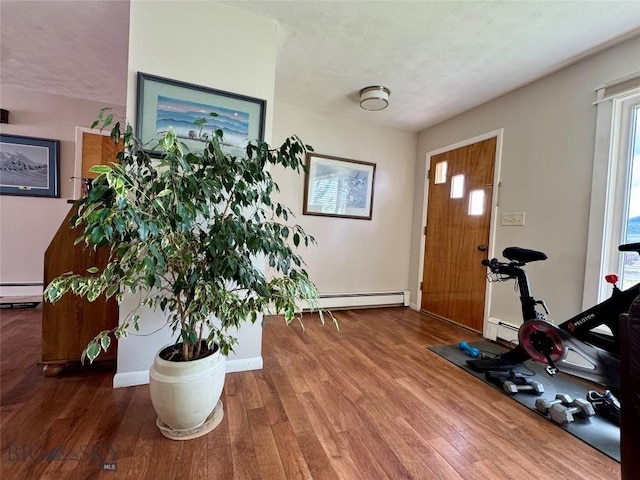 205 E Chinook St, Livingston, MT 59047 - foyer entrance featuring a baseboard radiator, wood finished floors, and healthy amount of natural light