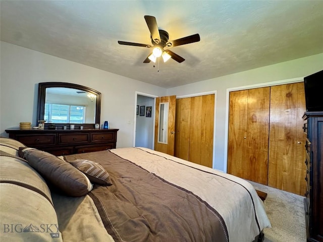 205 E Chinook St, Livingston, MT 59047 - bedroom with two closets, carpet, and ceiling fan