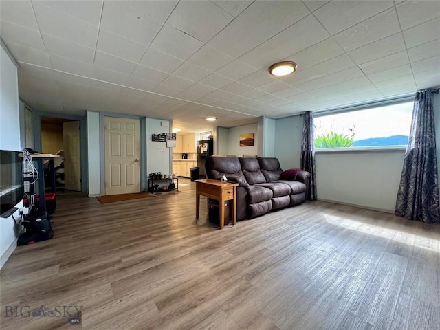 205 E Chinook St, Livingston, MT 59047 - living room with wood finished floors