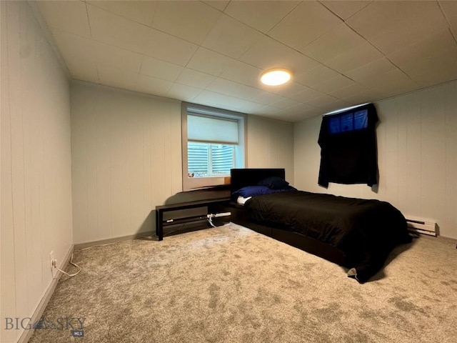 205 E Chinook St, Livingston, MT 59047 - carpeted bedroom featuring a baseboard radiator, baseboards, and wood walls