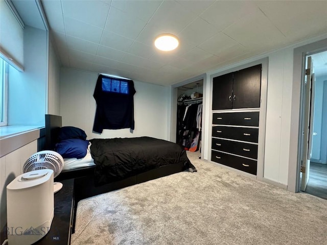 205 E Chinook St, Livingston, MT 59047 - bedroom featuring carpet and a closet