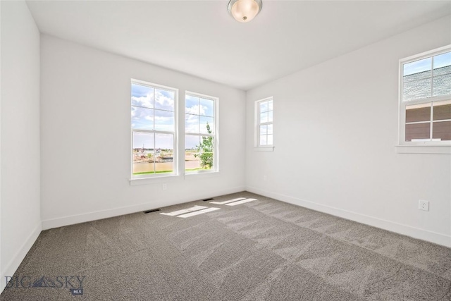 1210 Cody Dr, Belgrade, MT 59714 - photo 21