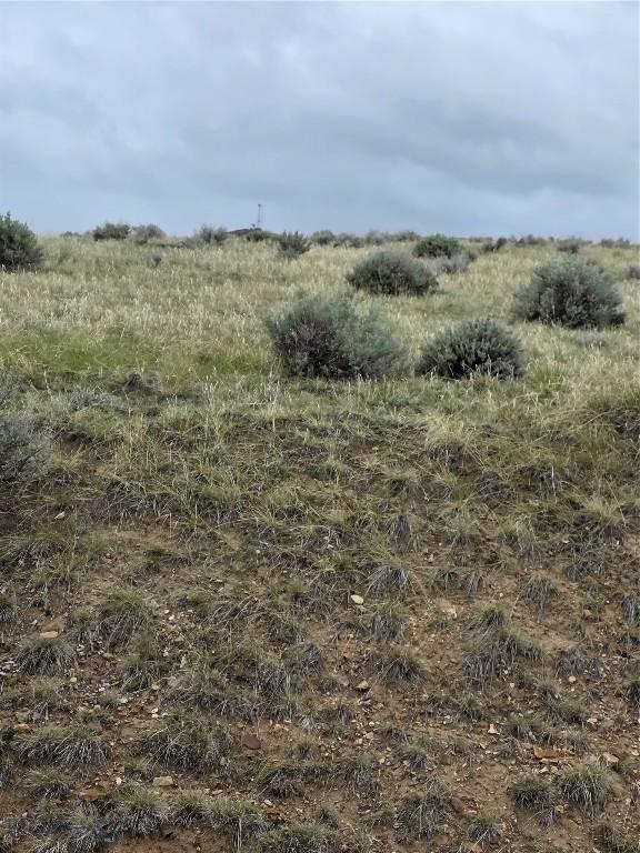 710 Gamblers Run, Dillon, MT 59725