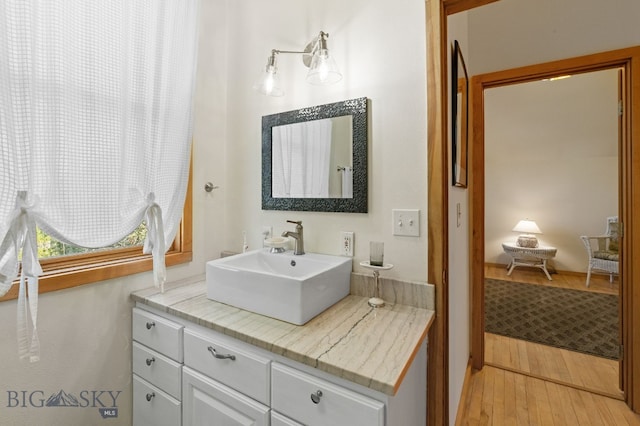 530 W Hulbert Rd, Bozeman, MT 59718 - bathroom featuring wood finished floors and vanity
