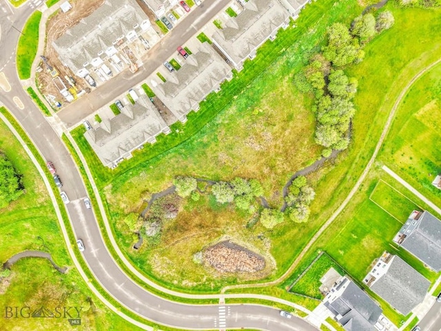 bird's eye view