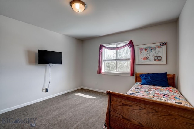 1510 Ingomar Blvd, Belgrade, MT 59714 - carpeted bedroom with baseboards