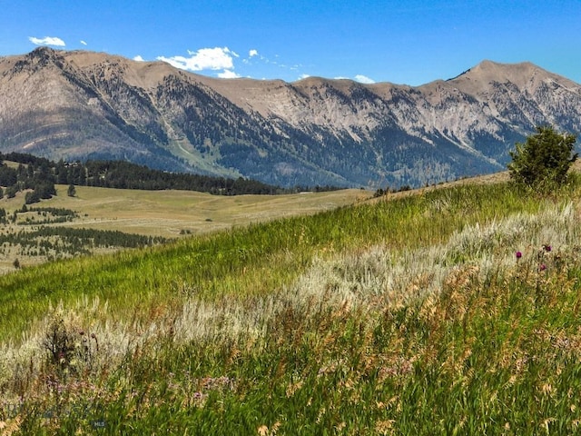 LOT8TBD Bridger Vis, Bozeman, MT 59715