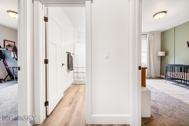 1506 Wild Bill Way, Belgrade, MT 59714 - hallway with light wood finished floors and baseboards