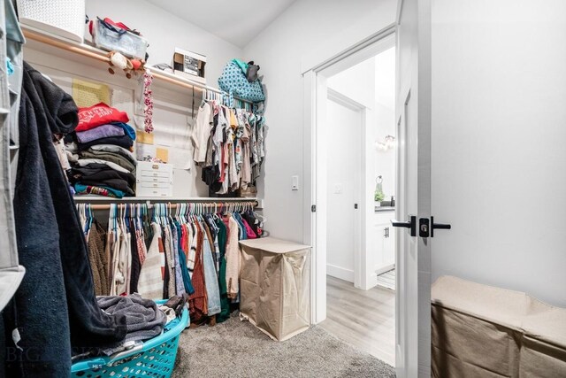 1506 Wild Bill Way, Belgrade, MT 59714 - view of walk in closet