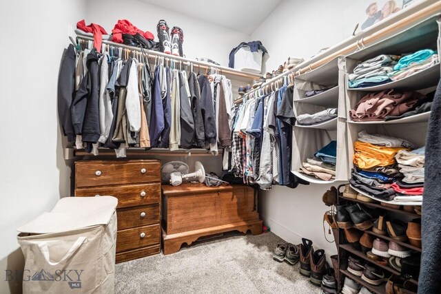 1506 Wild Bill Way, Belgrade, MT 59714 - walk in closet with carpet