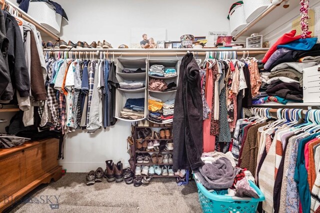 1506 Wild Bill Way, Belgrade, MT 59714 - spacious closet featuring carpet flooring