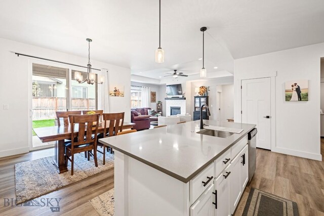 1506 Wild Bill Way, Belgrade, MT 59714 - kitchen featuring a sink, a glass covered fireplace, light wood-style floors, and stainless steel dishwasher