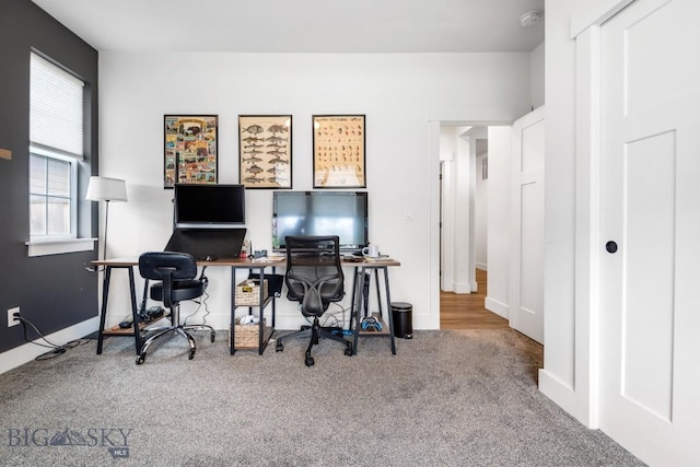 1506 Wild Bill Way, Belgrade, MT 59714 - office space featuring carpet and baseboards
