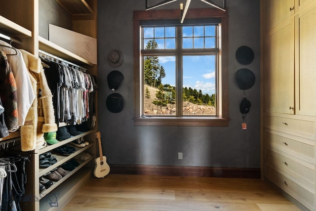 1220 Green Valley Way, Bozeman, MT 59715 - spacious closet with light wood-style flooring