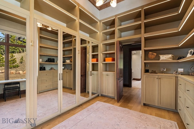 1220 Green Valley Way, Bozeman, MT 59715 - spacious closet with light wood finished floors