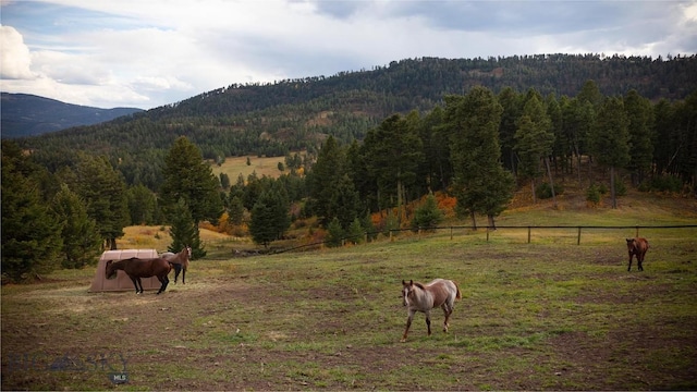 1220 Green Valley Way, Bozeman, MT 59715 - mountain view featuring rural landscape, a heavily wooded area, and a pastoral area