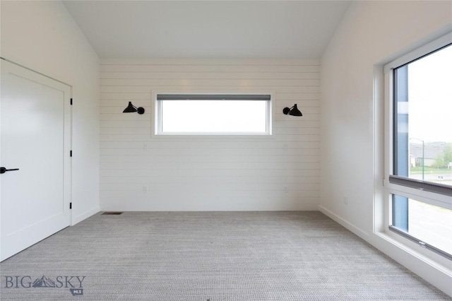 carpeted empty room featuring wood walls