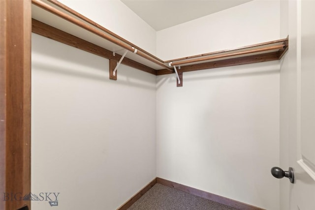 view of walk in closet