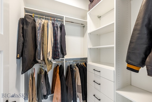 94 Rock Castle Rd, Manhattan, MT 59741 - view of walk in closet