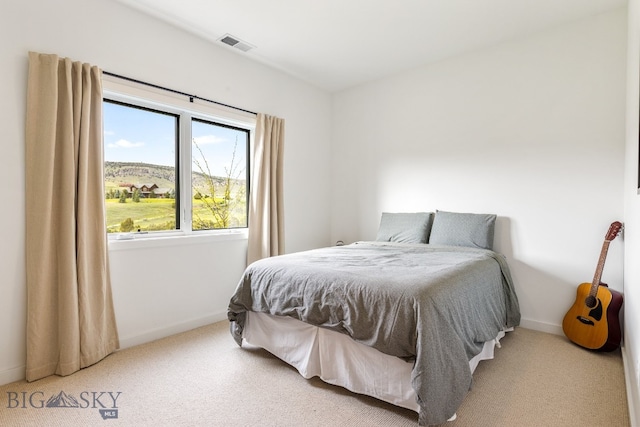 94 Rock Castle Rd, Manhattan, MT 59741 - bedroom featuring carpet floors
