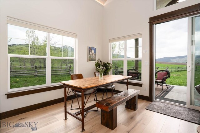 17450 Wilson Creek Rd, Bozeman, MT 59730 - dining space with light wood-type flooring, baseboards, and a towering ceiling