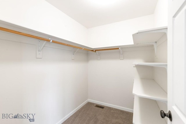 185 Chestnut Grove Ave, Bozeman, MT 59718 - spacious closet featuring carpet