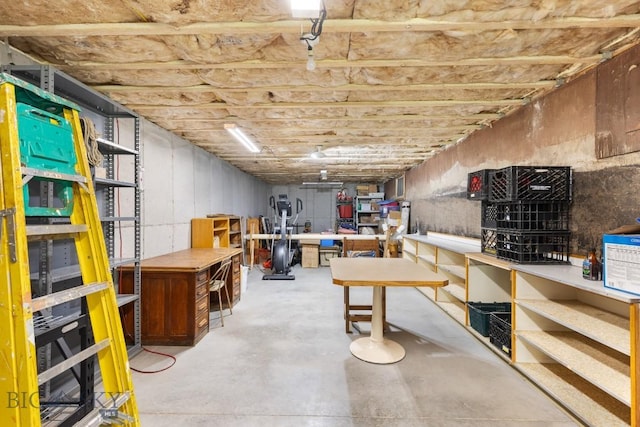 486 Jardine Rd, Jardine, MT 59030 - basement featuring a workshop area