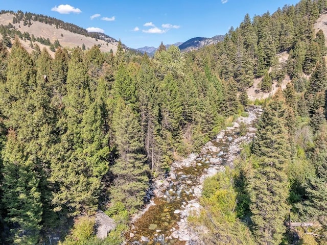 486 Jardine Rd, Jardine, MT 59030 - view of mountain backdrop featuring a heavily wooded area
