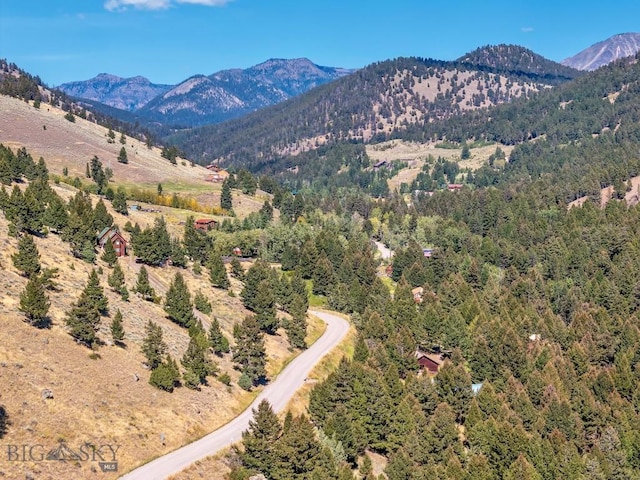486 Jardine Rd, Jardine, MT 59030 - mountain view with a forest