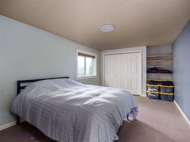 507 Flathead Ave, Bozeman, MT 59718 - bedroom with carpet flooring, baseboards, and a closet