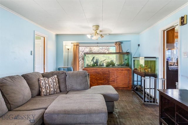 1408 Dewey Blvd, Butte, MT 59701 - living area featuring dark wood-style flooring and crown molding