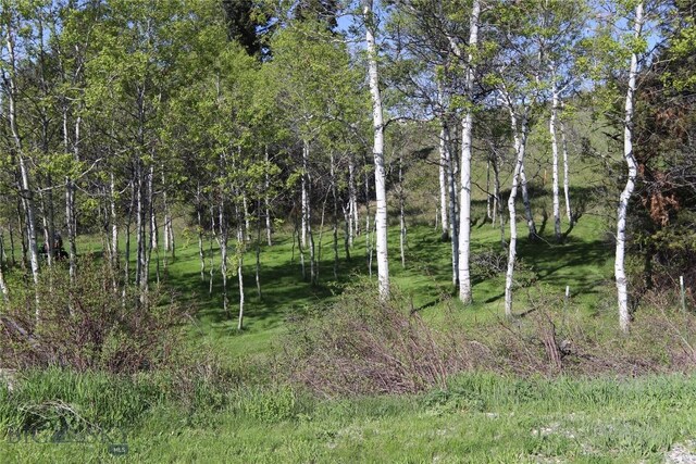 202 Beach Dr, West Yellowstone, MT 59758 - view of local wilderness