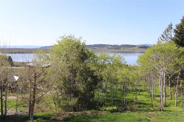 202 Beach Dr, West Yellowstone, MT 59758 - water view