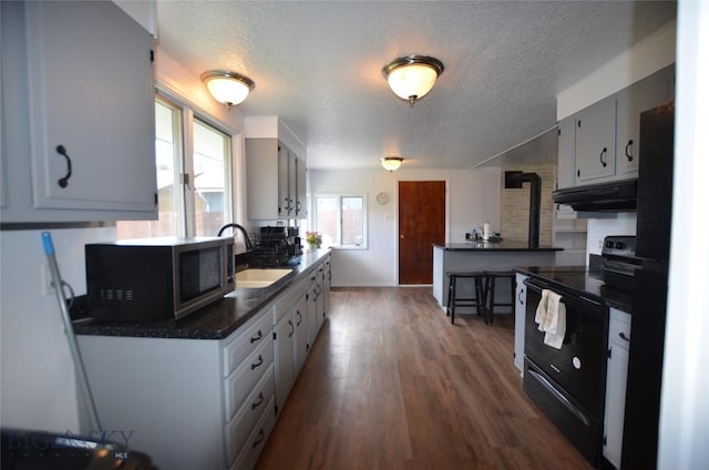 314 S Dakota St, Dillon, MT 59725 - kitchen with black / electric stove, under cabinet range hood, dark countertops, a sink, and a textured ceiling