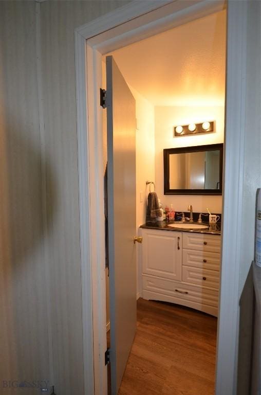 314 S Dakota St, Dillon, MT 59725 - bathroom featuring wood finished floors and vanity