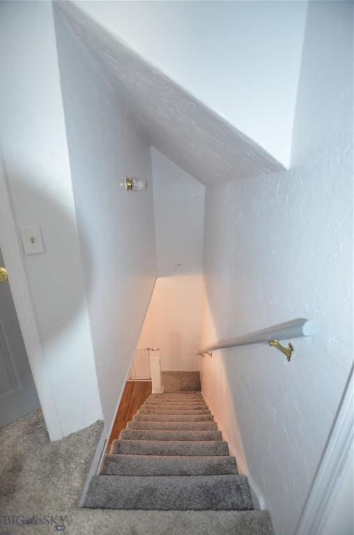 314 S Dakota St, Dillon, MT 59725 - stairs featuring carpet floors and lofted ceiling